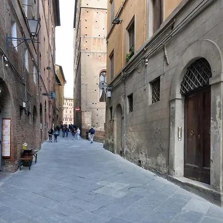 19zero3 Siena
